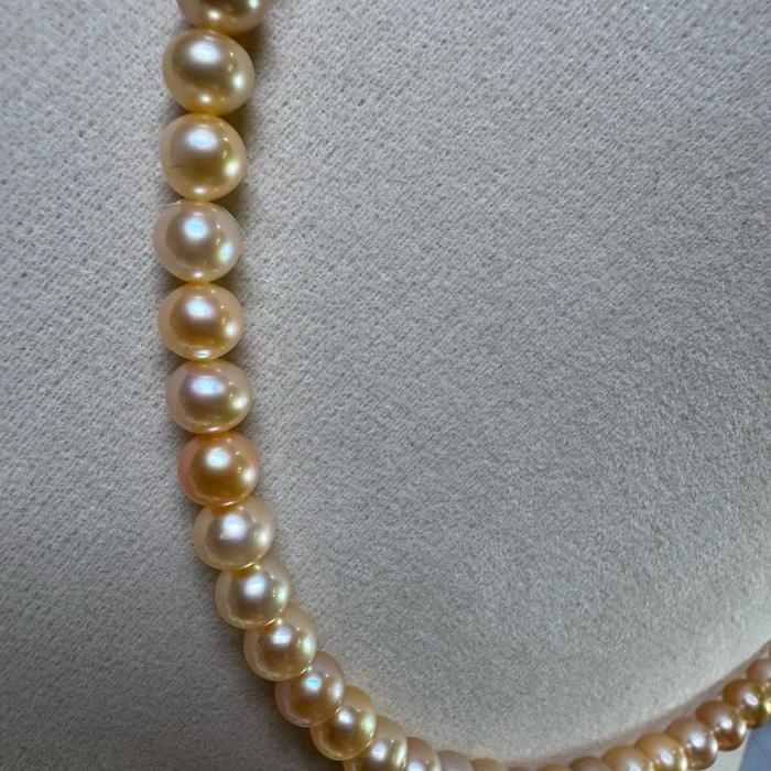 Batch 2 – Kalung Mutiara Asli Champagne Golden Collection Kalung mutiara asli air tawar dengan warna Champagne Golden yang elegan dan memancarkan kemewahan alami. Nuansa keemasan yang lembut berpadu dengan luster yang indah, menciptakan tampilan - Gambar 7